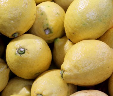 arka plan sarı limon Akdeniz ülkesinden