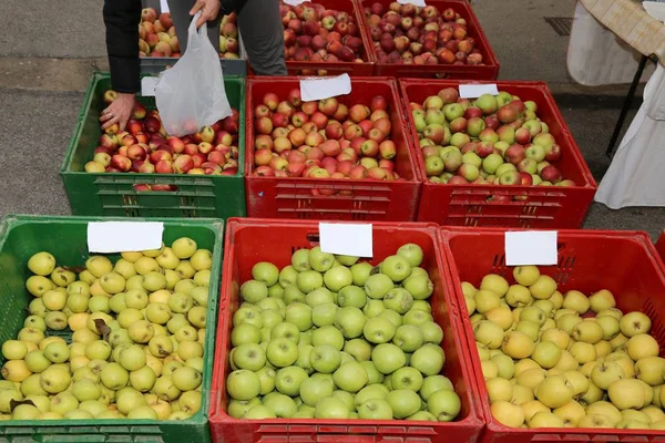 Grandes cajas de fruta con las manzanas maduras —  Fotos de Stock