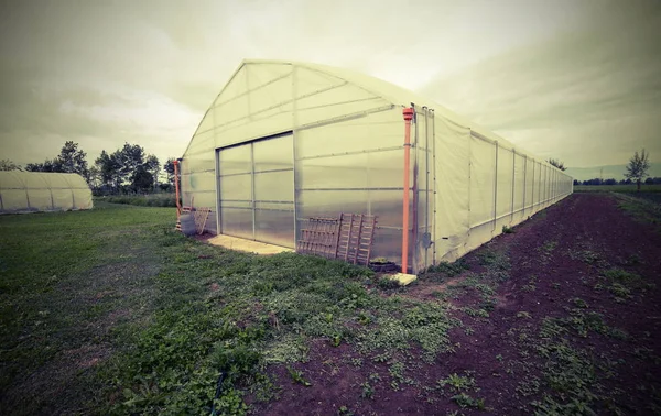 Po の谷で野菜の栽培のための温室 — ストック写真