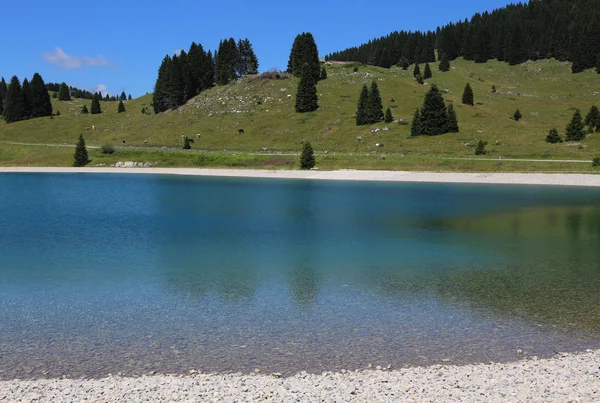 Hermoso estanque alpino con agua contaminada — Foto de Stock
