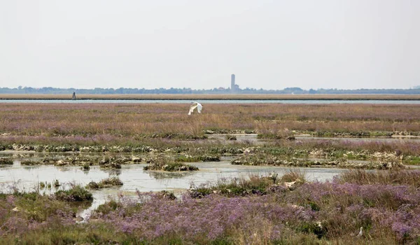Landskap i den venetianska lagunen nära Venedig som kallas Mesole i det — Stockfoto