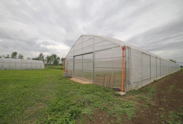 Gewächshaus für den Gemüseanbau — Stockfoto