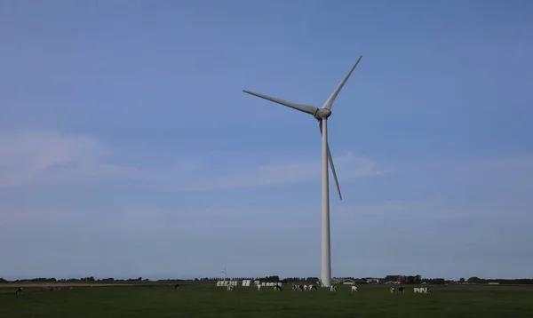 Turbina wiatrowa do produkcji czystego nie zanieczyszczających odnawialnych — Zdjęcie stockowe