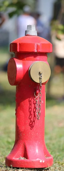 Red hydrant with gold-colored closing lid — Stock Photo, Image