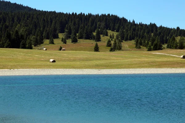 Пейзаж с альпийским озером с чистой водой — стоковое фото