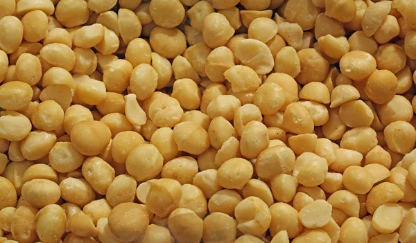 Achtergrond van percelen van macadamia zaden — Stockfoto