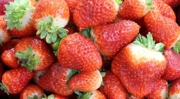 Macrofotografía de fresas rojas grandes maduras —  Fotos de Stock