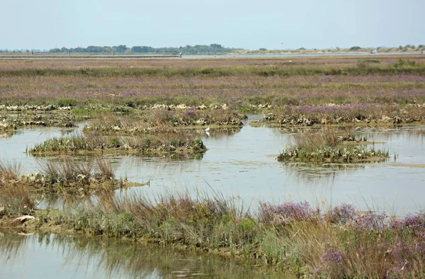 Landschap in de Venetiaanse lagune in de buurt van Venetië genoemd Mesole in het — Stockfoto