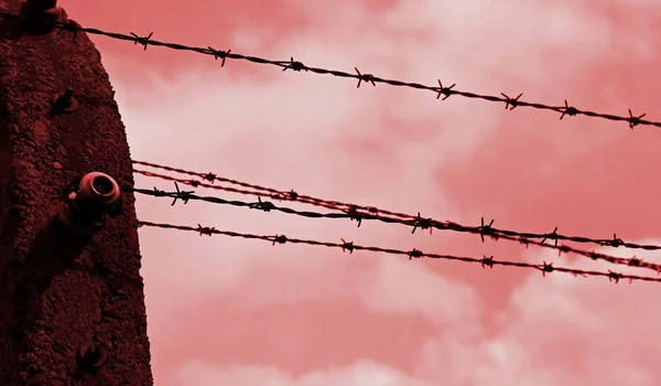 Barbed wire with red background effect — Stock Photo, Image