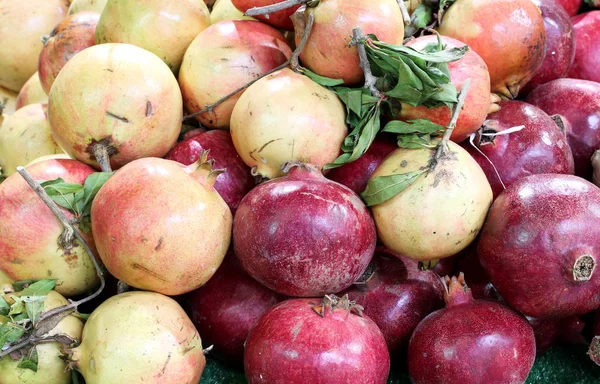 Granátová jablka jsou podzimní plody — Stock fotografie