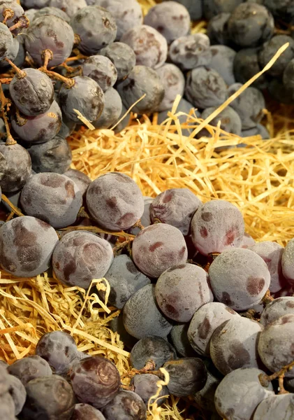 Рустикальний фон з купою чорного винограду, що лежить на соломі — стокове фото