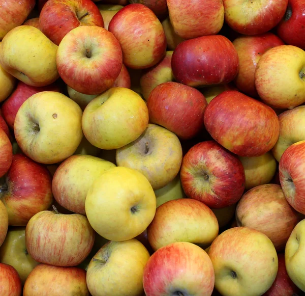 Fundo de belas maçãs amarelas e vermelhas maduras — Fotografia de Stock