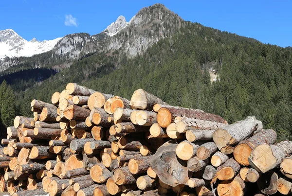 Pile of wood with blue sky and mountains background — Stock Photo, Image