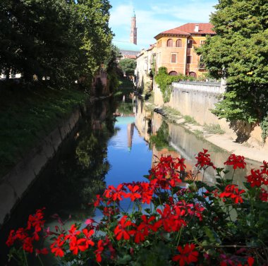 Çiçekli Kırmızı Sardunya çiçekleri ve antik anıt içinde Yardımcısı