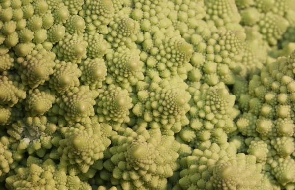 Great Green Background of a macro photography of a cabbage — Stock Photo, Image