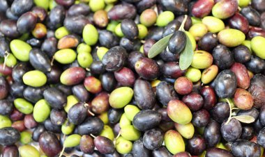 Birçok yeşil ve siyah Konfit zeytin arka plan