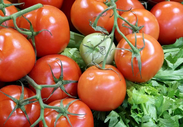Yeşil ve kırmızı domates Manav Dükkanı Satılık — Stok fotoğraf