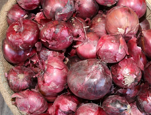 İtalya'dan pek çok kırmızı soğan — Stok fotoğraf
