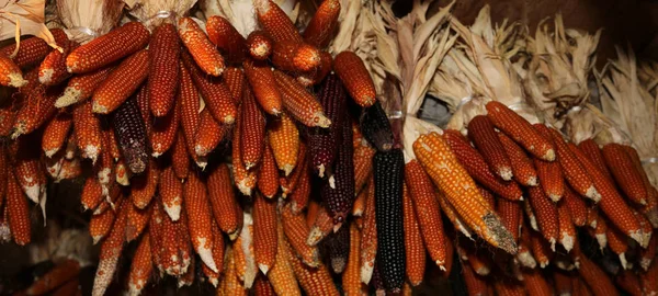 A farm, télen sok csövek — Stock Fotó