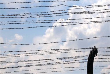 birçok dikenli teller elektrikli bir sınır