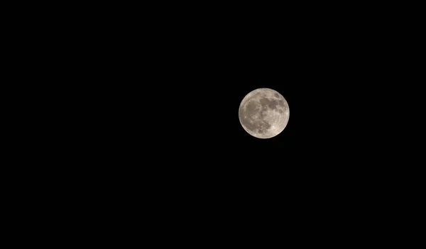 Stor fullmåne midt på den svarte himmelen – stockfoto