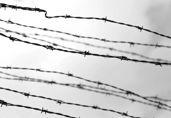 Background of barbed wires with black and white effect — Stock Photo, Image