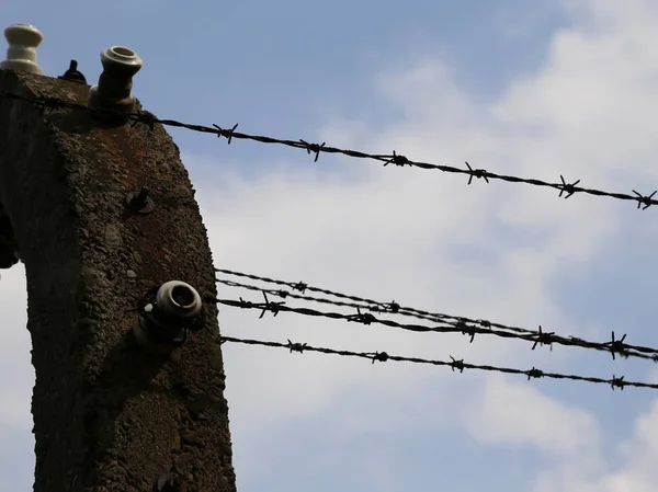 Dettaglio della recinzione con filo spinato — Foto Stock