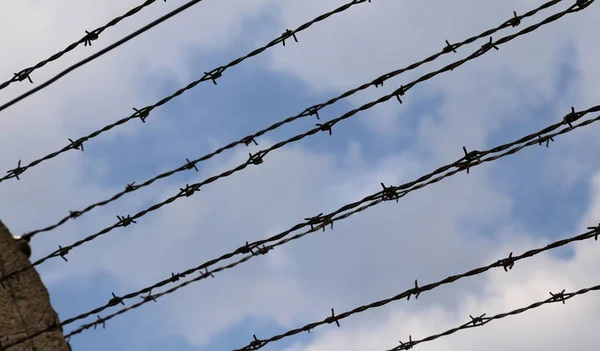 Many barbwire in the refugee camp to avoid the evasion — Stock Photo, Image