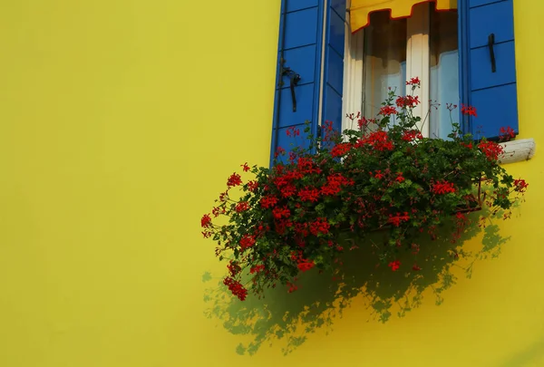 Casa amarilla con geranios rojos en la isla de Burano cerca de Ven — Foto de Stock