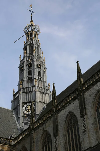 Дзвіниця церкви в Гарлемі місто в Нідерландах — стокове фото
