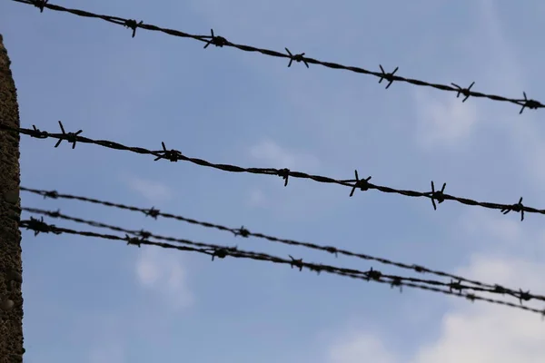 Detail of a fence with barbed wire — Stock Photo, Image