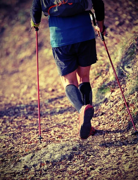 Man practices nordic walking sport with vintage effect