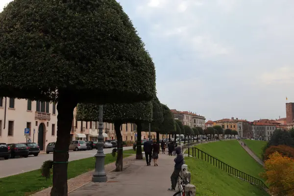 Bassano del Grappa, VI, Italia - 18 de octubre de 2015: Árboles en la — Foto de Stock