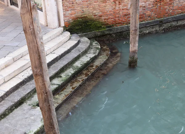 Passos com algas durante a maré baixa — Fotografia de Stock