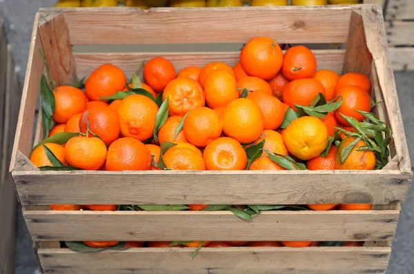 Obstkiste voller frischer Clementinen aus biologischem Anbau — Stockfoto