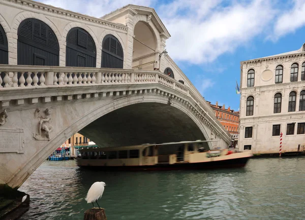 Ponte Rialto em Veneza com o vaporetto movendo-se no Grand C — Fotografia de Stock