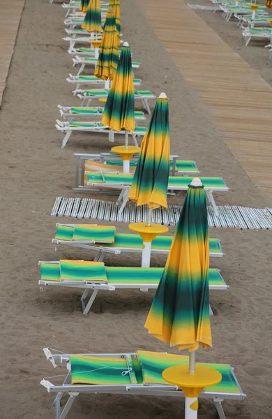 Umbrellas lined with deckchairs in a beach — Stock Photo, Image