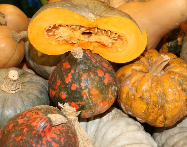 Gula ätbara pumpa för beredning av välsmakande hösten recept — Stockfoto