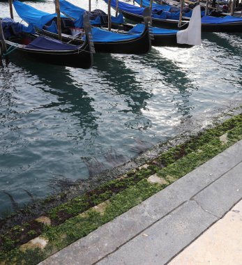 Birçok gondol Venedik İtalya
