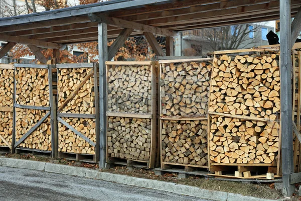Grande galpão com troncos de madeira cortados — Fotografia de Stock