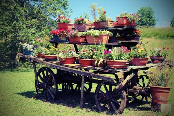 Carrinho festooned com vasos de flores no prado no mountai — Fotografia de Stock