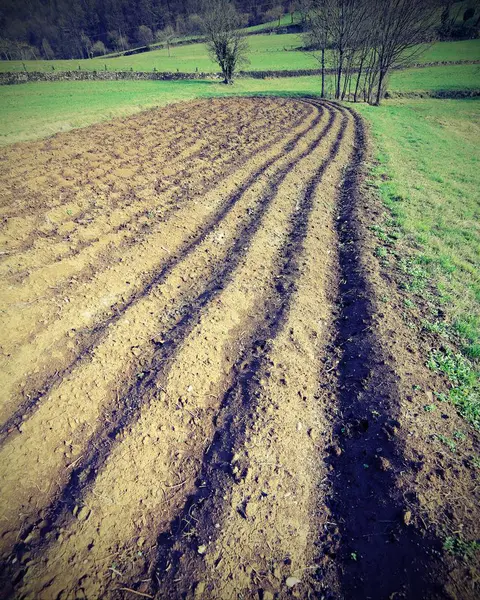 Gemüsegarten-Pflug, wenn er im Frühjahr mit Vinta gesät wird — Stockfoto