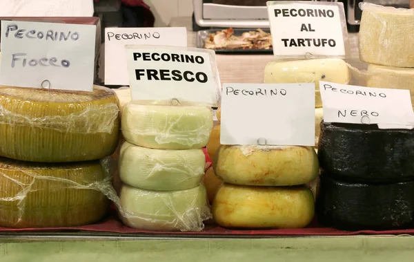 Italian Cheese like PECORINO FRESCO that means Cheese made with — Stock Photo, Image