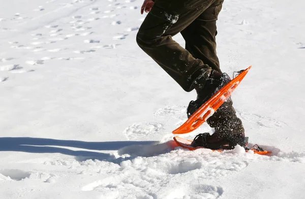 Hombre camina con raquetas de nieve naranja sobre nieve blanca —  Fotos de Stock