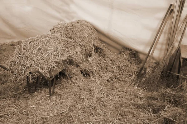 Taczki w stodole pełnej słomy i siana z sepia stonowanych — Zdjęcie stockowe