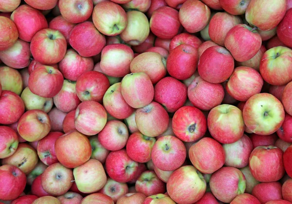 Background with many juicy ripe red apples — Stock Photo, Image