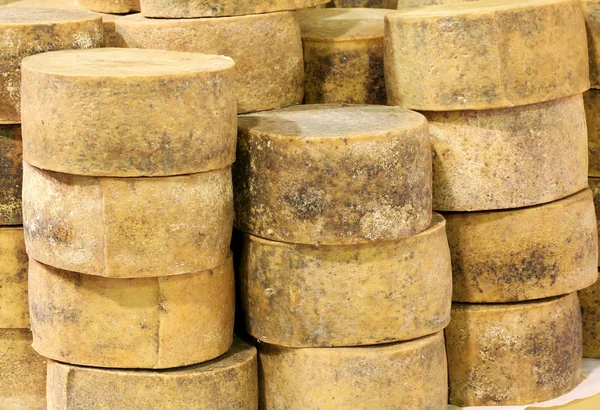 Formen von gereiftem Käse zum Verkauf auf dem Wochenmarkt — Stockfoto