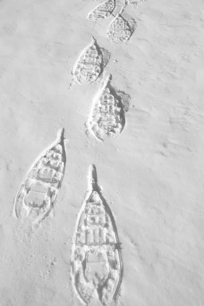 Pegadas de um sapato de neve deixado na neve — Fotografia de Stock
