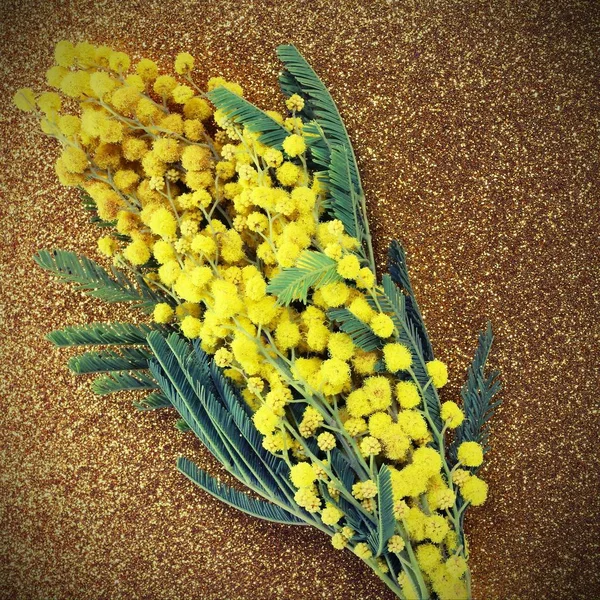 Mimosas ในดอกไม้ที่มีพื้นหลังแววทองที่มีประสิทธิภาพวินเทจ — ภาพถ่ายสต็อก
