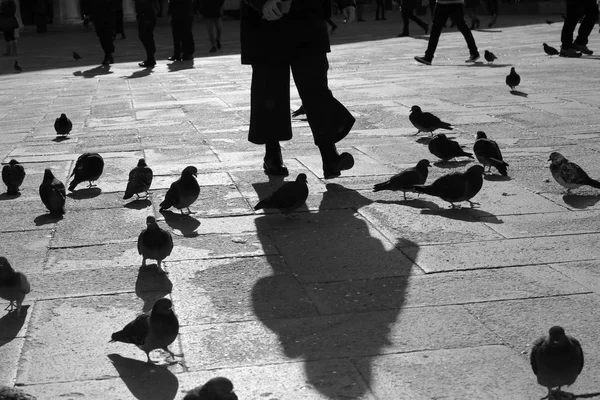 Duiven op het plein met zwart-wit effect — Stockfoto